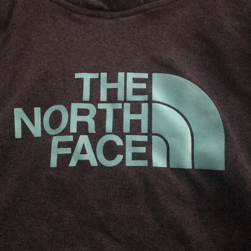 The North Face Hoodie